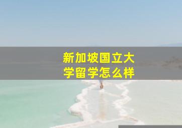 新加坡国立大学留学怎么样