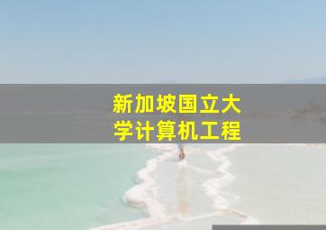 新加坡国立大学计算机工程