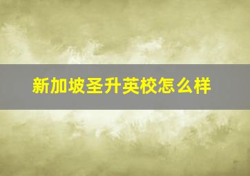 新加坡圣升英校怎么样