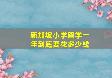 新加坡小学留学一年到底要花多少钱