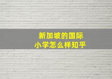 新加坡的国际小学怎么样知乎