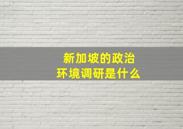 新加坡的政治环境调研是什么