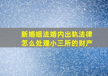 新婚姻法婚内出轨法律怎么处理小三所的财产