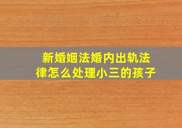 新婚姻法婚内出轨法律怎么处理小三的孩子