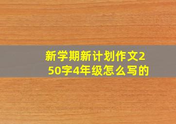 新学期新计划作文250字4年级怎么写的