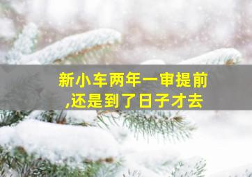 新小车两年一审提前,还是到了日子才去