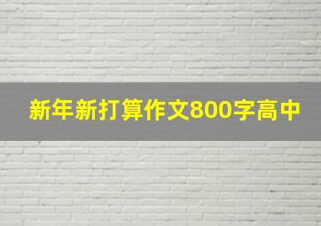 新年新打算作文800字高中