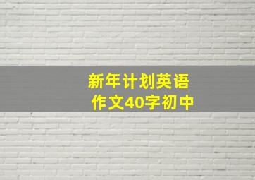 新年计划英语作文40字初中