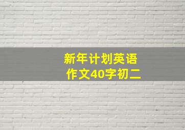 新年计划英语作文40字初二