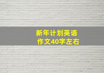 新年计划英语作文40字左右