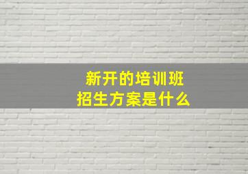 新开的培训班招生方案是什么