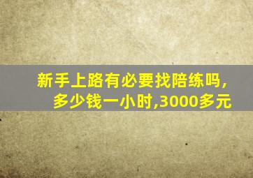 新手上路有必要找陪练吗,多少钱一小时,3000多元