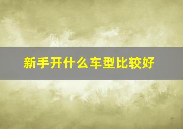 新手开什么车型比较好