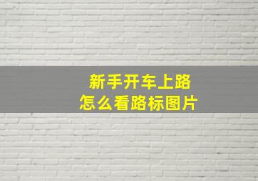 新手开车上路怎么看路标图片