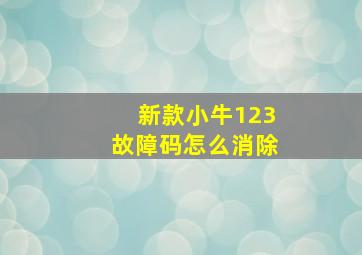 新款小牛123故障码怎么消除