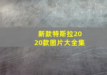 新款特斯拉2020款图片大全集