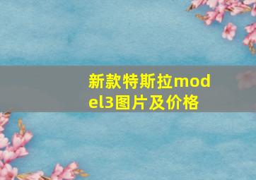 新款特斯拉model3图片及价格