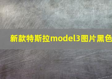 新款特斯拉model3图片黑色