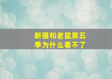 新猫和老鼠第五季为什么看不了