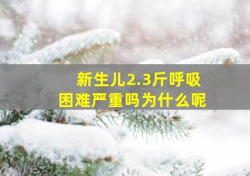 新生儿2.3斤呼吸困难严重吗为什么呢