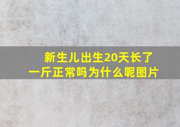 新生儿出生20天长了一斤正常吗为什么呢图片