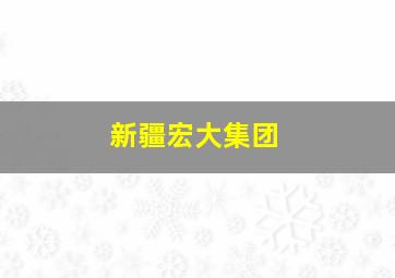 新疆宏大集团