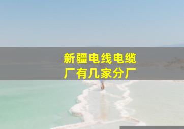 新疆电线电缆厂有几家分厂