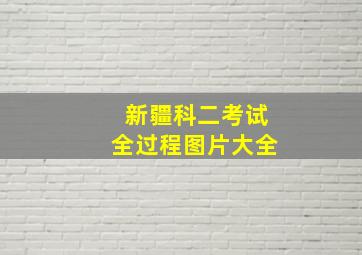 新疆科二考试全过程图片大全