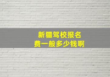 新疆驾校报名费一般多少钱啊