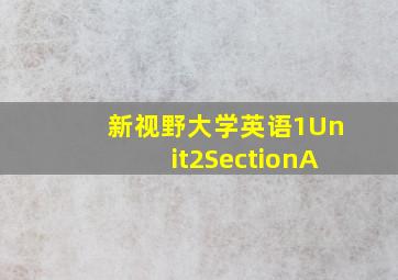 新视野大学英语1Unit2SectionA