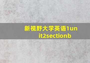 新视野大学英语1unit2sectionb