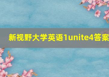 新视野大学英语1unite4答案