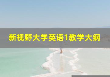 新视野大学英语1教学大纲