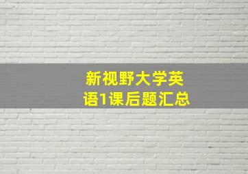 新视野大学英语1课后题汇总