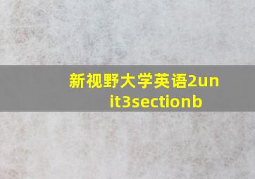 新视野大学英语2unit3sectionb