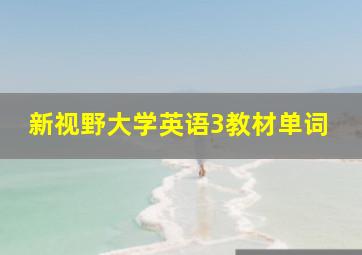 新视野大学英语3教材单词