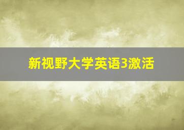 新视野大学英语3激活