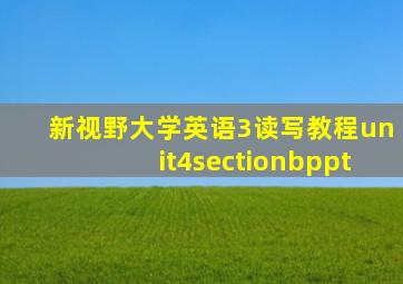 新视野大学英语3读写教程unit4sectionbppt