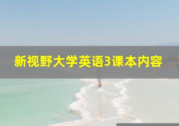 新视野大学英语3课本内容