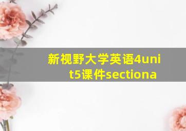 新视野大学英语4unit5课件sectiona