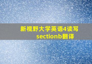 新视野大学英语4读写sectionb翻译