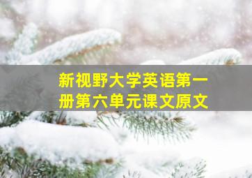 新视野大学英语第一册第六单元课文原文