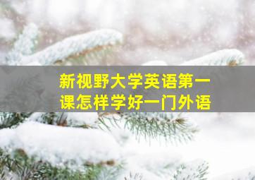 新视野大学英语第一课怎样学好一门外语