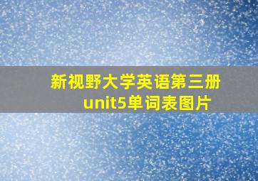 新视野大学英语第三册unit5单词表图片