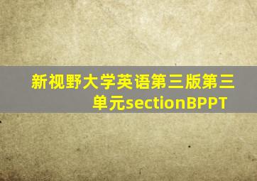 新视野大学英语第三版第三单元sectionBPPT