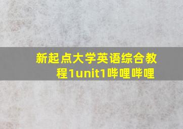 新起点大学英语综合教程1unit1哔哩哔哩