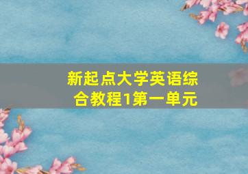 新起点大学英语综合教程1第一单元