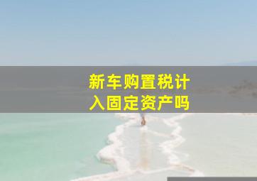 新车购置税计入固定资产吗