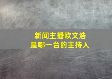 新闻主播欧文浩是哪一台的主持人