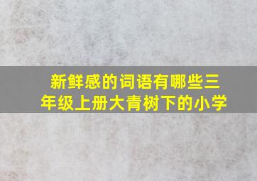 新鲜感的词语有哪些三年级上册大青树下的小学